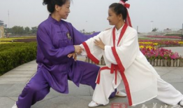 杨式太极拳85式视频,传承经典，动静相宜的养生之道