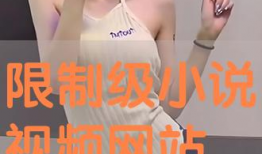 三级视频小说,揭秘神秘世界背后的惊世之谜